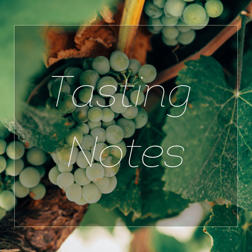 Tasting Notes 